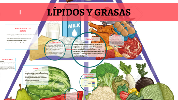 lipidos y grasas by Johanna Betancur on Prezi