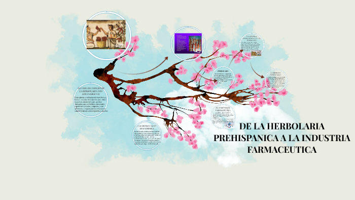 DE LA HERBOLARIA PREHISPANICA A LA INDUSTRIA FARMACEUTICA by Alanis