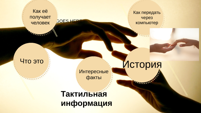 Обработка тактильной информации. Обработка тактильной информации