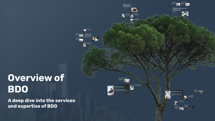 Overview of BDO by Richan Jose on Prezi