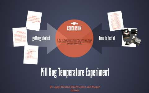 pill bugs temperature experiment