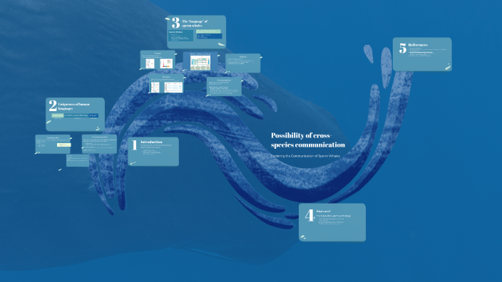 Contextual And Combinatorial Language System Of Sperm Whales By Rostyslav