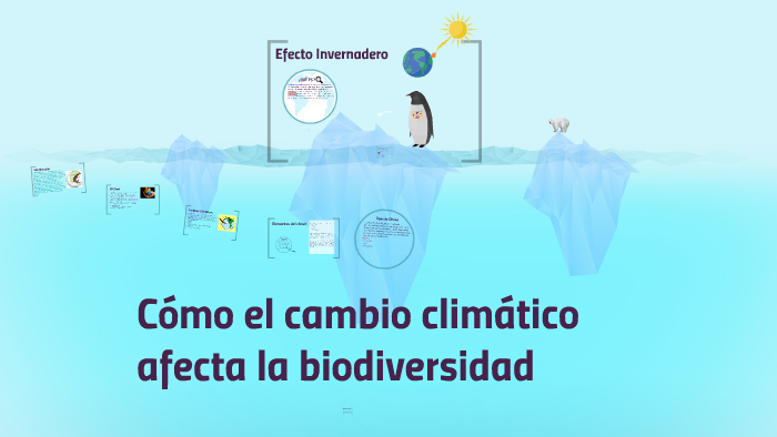 Como El Cambio Climatico Afecta La Biodiversidad By Flavia Calcagno