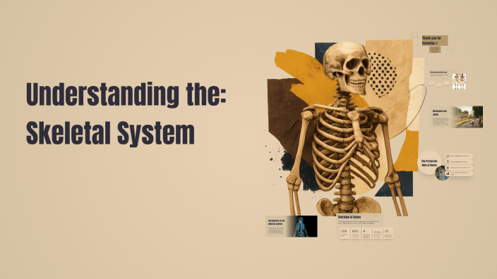 Understanding the Skeletal System by younes alanzi on Prezi