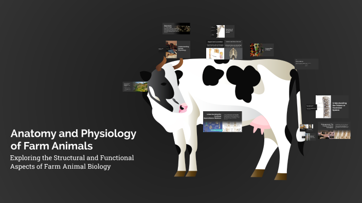 Anatomy and Physiology of Farm Animals by Fely Esparagoza on Prezi