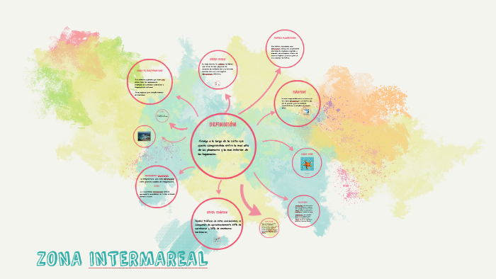 diagrama de zona intermareal