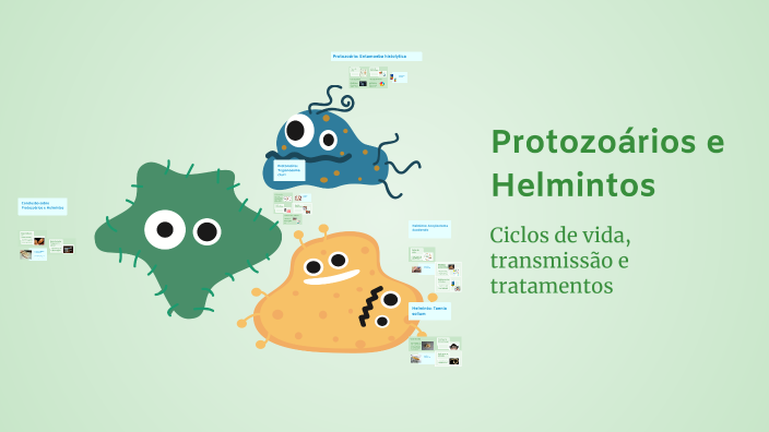 Protozoários e Helmintos by JorginhoUnderground on Prezi