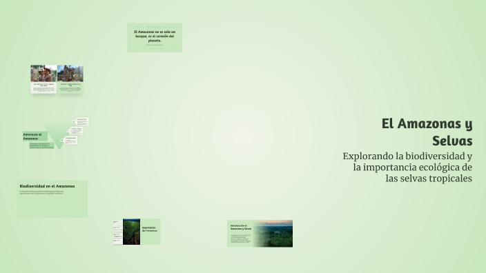 El Amazonas y Selvas by Francisco Lopez Alegria on Prezi