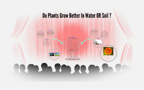 Does plants grow better on water or soil by amadou bah on Prezi