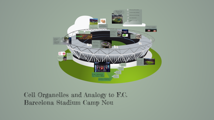 Cell Organelles and Their Analogy to F.C. Barcelona Stadium by Joseph ...