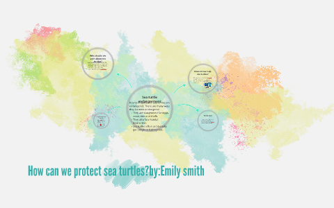 how can we protect sea turtles? by emily smith on Prezi