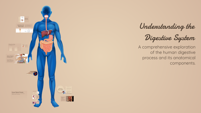 Understanding the Digestive System by stephanie petroski on Prezi