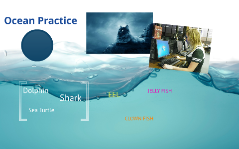 Ocean Practice by Ashley Malnar on Prezi