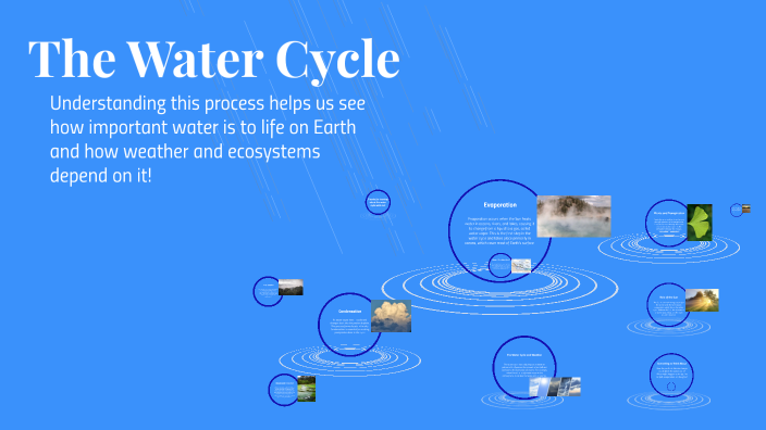 The Water Cycle by Cami Fulton on Prezi
