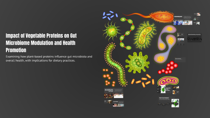 Impact of Vegetable Proteins on Gut Microbiome Modulation and Health ...