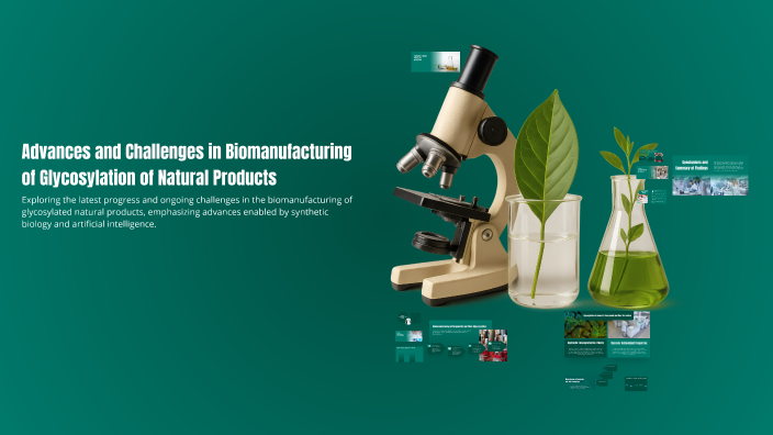 Advances and Challenges in Biomanufacturing of Glycosylation of Natural ...