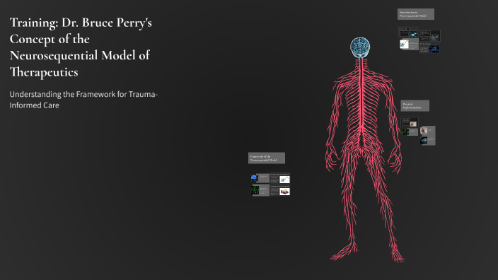 Training: Dr. Bruce Perry's Concept of the Neurosequential Model of ...