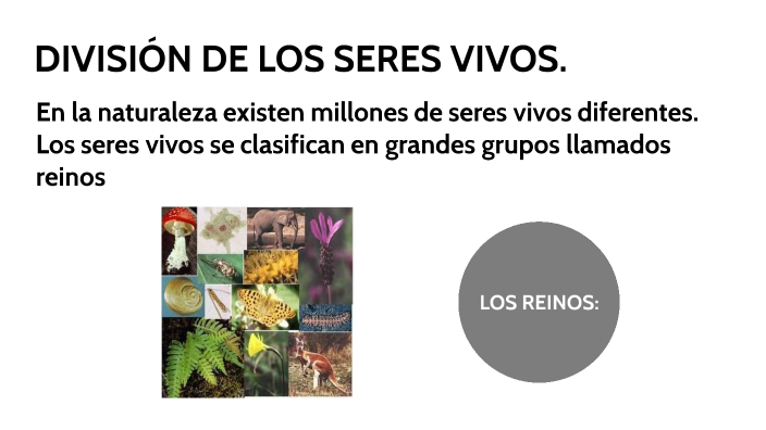 DIVISIÓN DE LOS SERES VIVOS by Hansel Huayamave on Prezi