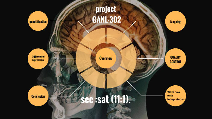 Rezi Rana project Rana Magdy. by Rana Magdy on Prezi