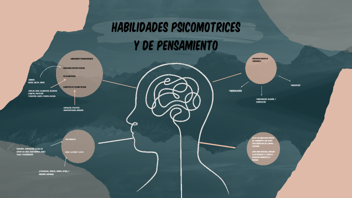 Habilidades Psicomotrices Y De Pensamiento By Juan Camilo Echeverry ...