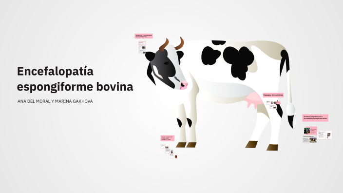 Encefalopatía espongiforme bovina by Anna on Prezi