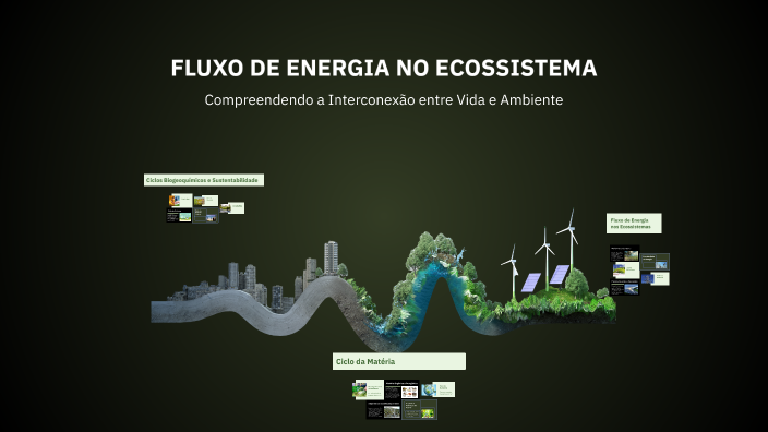 FLUXO DE ENERGIA NO ECOSSISTEMA by sebastião pereira da silva on Prezi