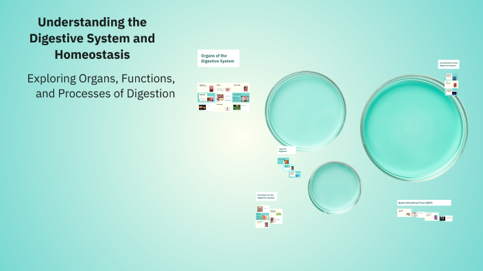 Understanding the Digestive System by Aneela Kiran on Prezi