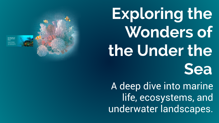 Exploring the Wonders of the Under the Sea by Taylor Elkins on Prezi