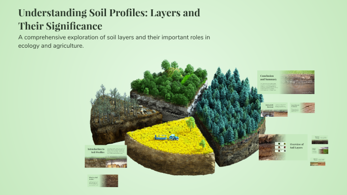 Understanding Soil Profiles: Layers and Their Significance by divith c ...