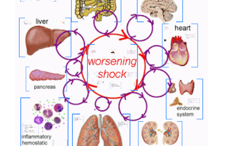 Multiple Organ Dysfunction Syndrome (MODS) by Kindra Celani on Prezi