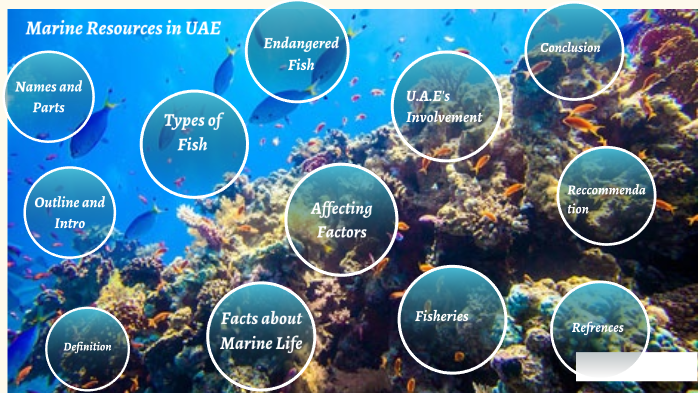 MARINE RESOURCES by Khalil Badwan on Prezi