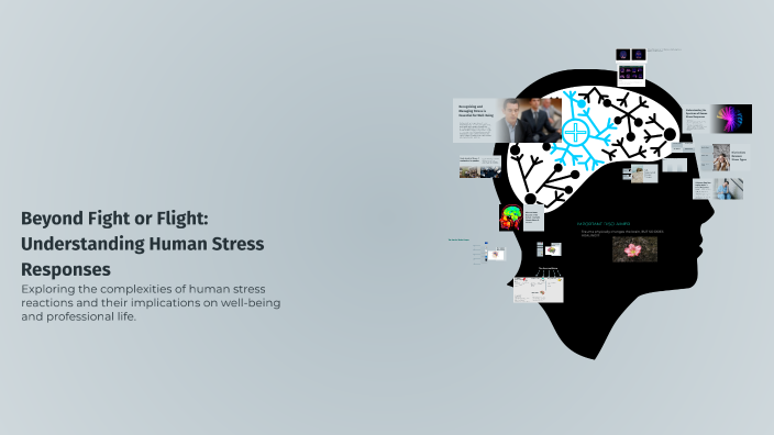 Beyond Fight or Flight: Understanding Human Stress Responses by Jessi ...