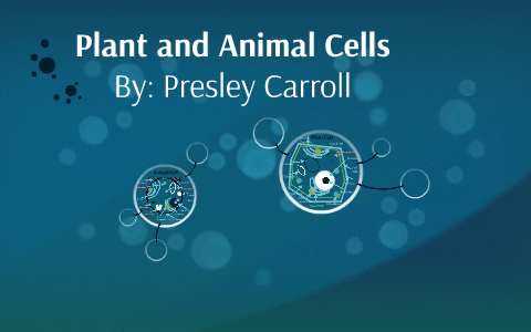 Plant and Animal Cell by Presley Carroll on Prezi