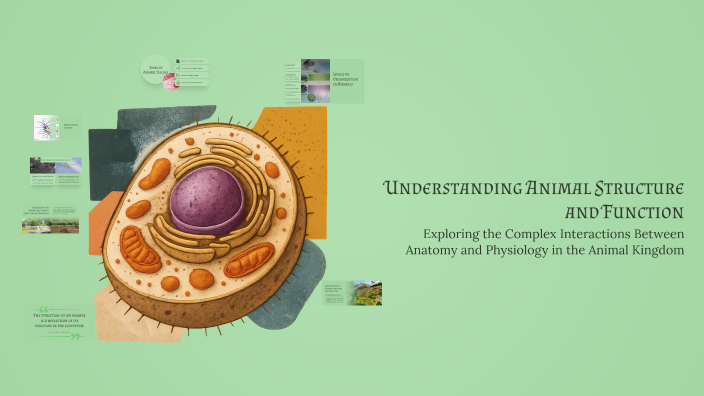 Understanding Animal Structure and Function by Alk I’m on Prezi