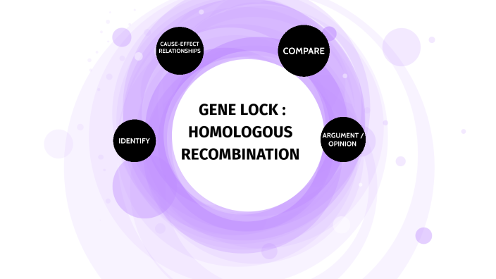 GENE LOCK HOMOLOGOUS RECOMBINATION by MARÍA PIÑERO SÁNCHEZ on Prezi