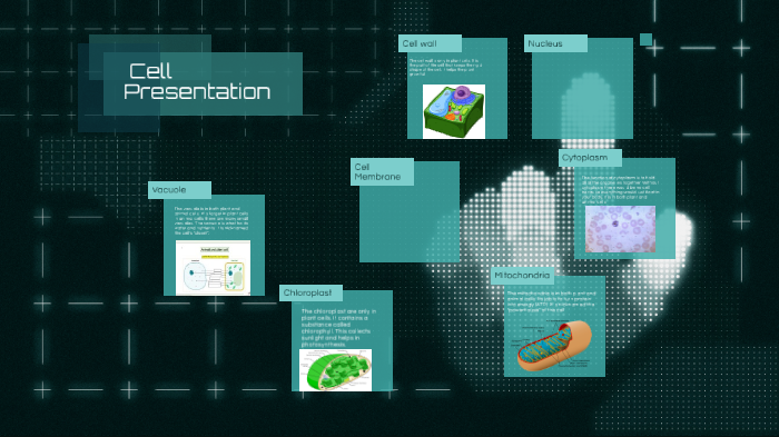 Plant and Animal Cell Presentation by Dallas Mielke on Prezi