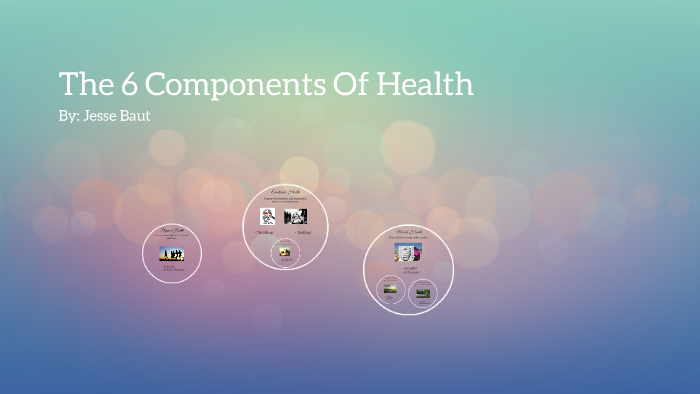 the-6-components-of-health-by-jesse-baut