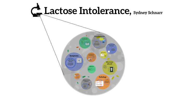 Lactose Intolerance, Disease Research Project by on Prezi