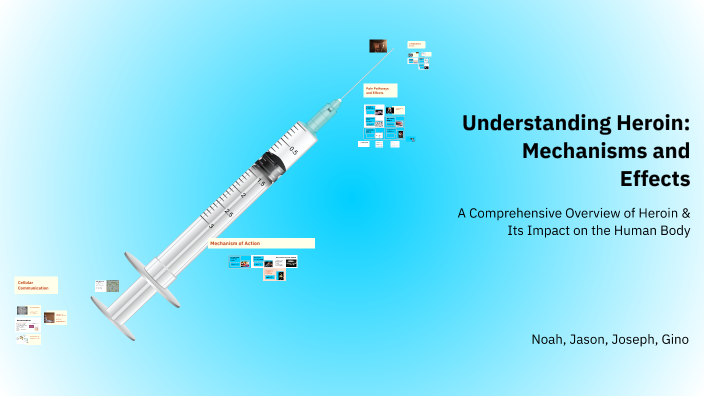 Understanding Heroin: Mechanisms and Effects by Noah Kim on Prezi