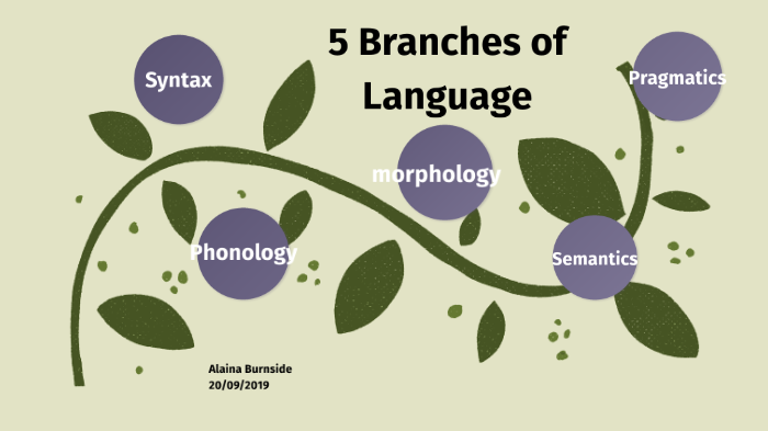 5-branches-of-language-by-alaina-burnside