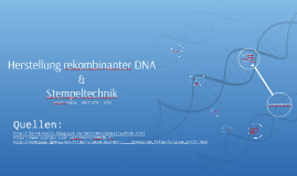 Herstellung Rekombinanter Dna Stempeltechnik By Joni Hesse