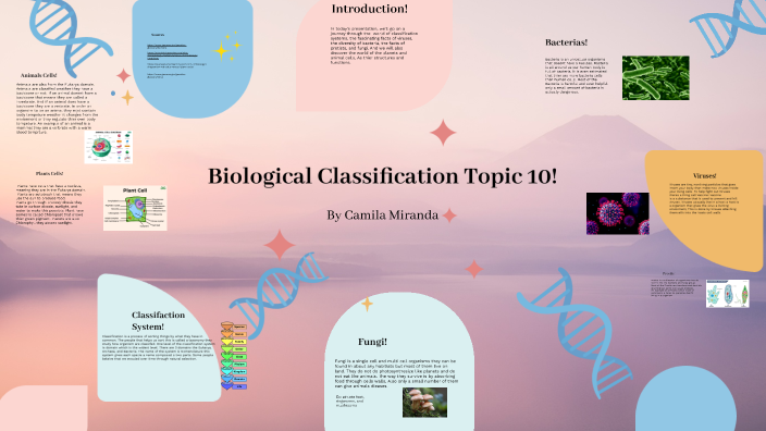 Classification System by Camila Miranda on Prezi