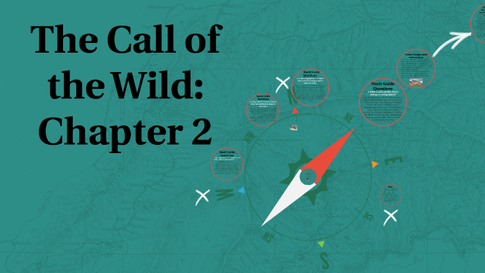 The Call Of The Wild Chapter 2 By Rachel Bernstein