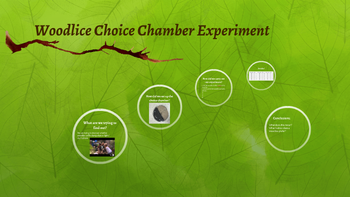 woodlice experiment choice chamber