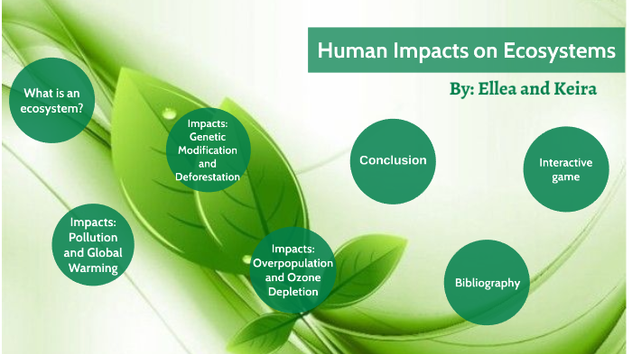 write an essay on human impact on ecosystem