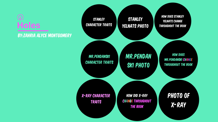 How Does Stanley Yelnats Change And Change In The Novel