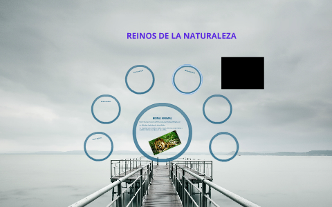 REINOS DE LA NATURALEZA by DEICY NAVIA on Prezi