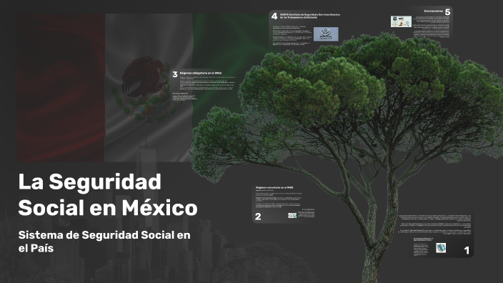 La Seguridad Social En México By Asdasdasd Qwerrqweqwe On Prezi