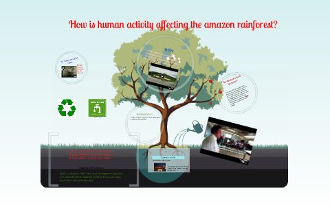 How is human activity affecting the amazon rainforest? by Poppy Wall on