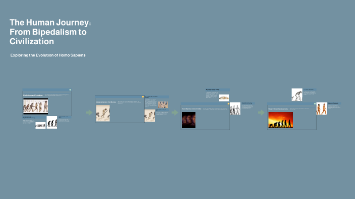 The Human Journey: From Bipedalism to Civilization by Daniela Smith ...